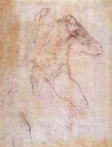 Study of a male nude